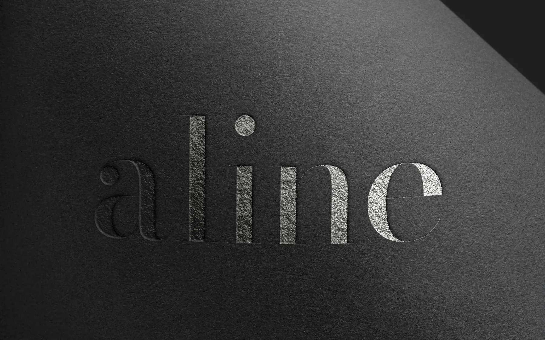 Aline Clinic kimlik sunumu, sayfa 10