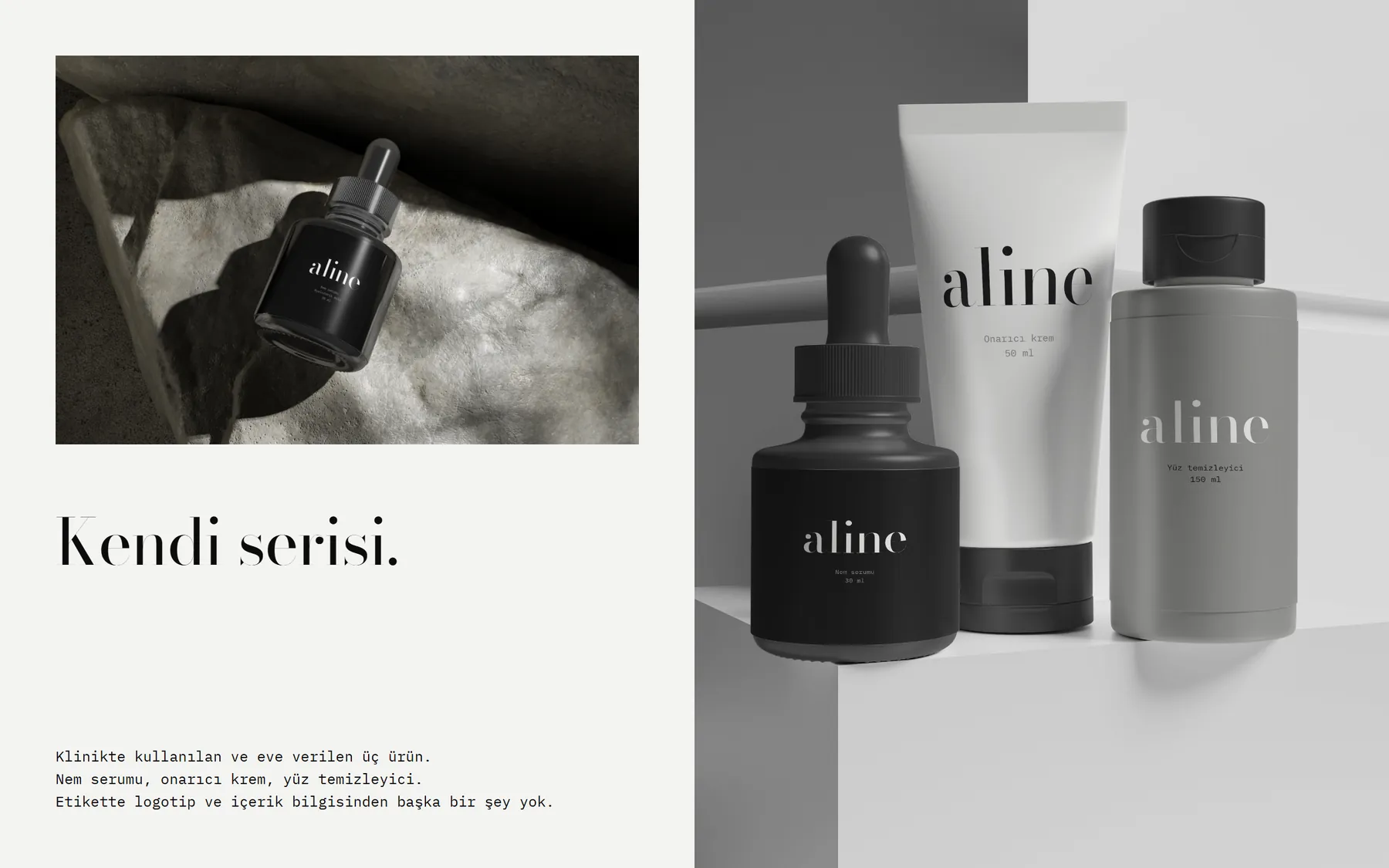 Aline Clinic kimlik sunumu, sayfa 13