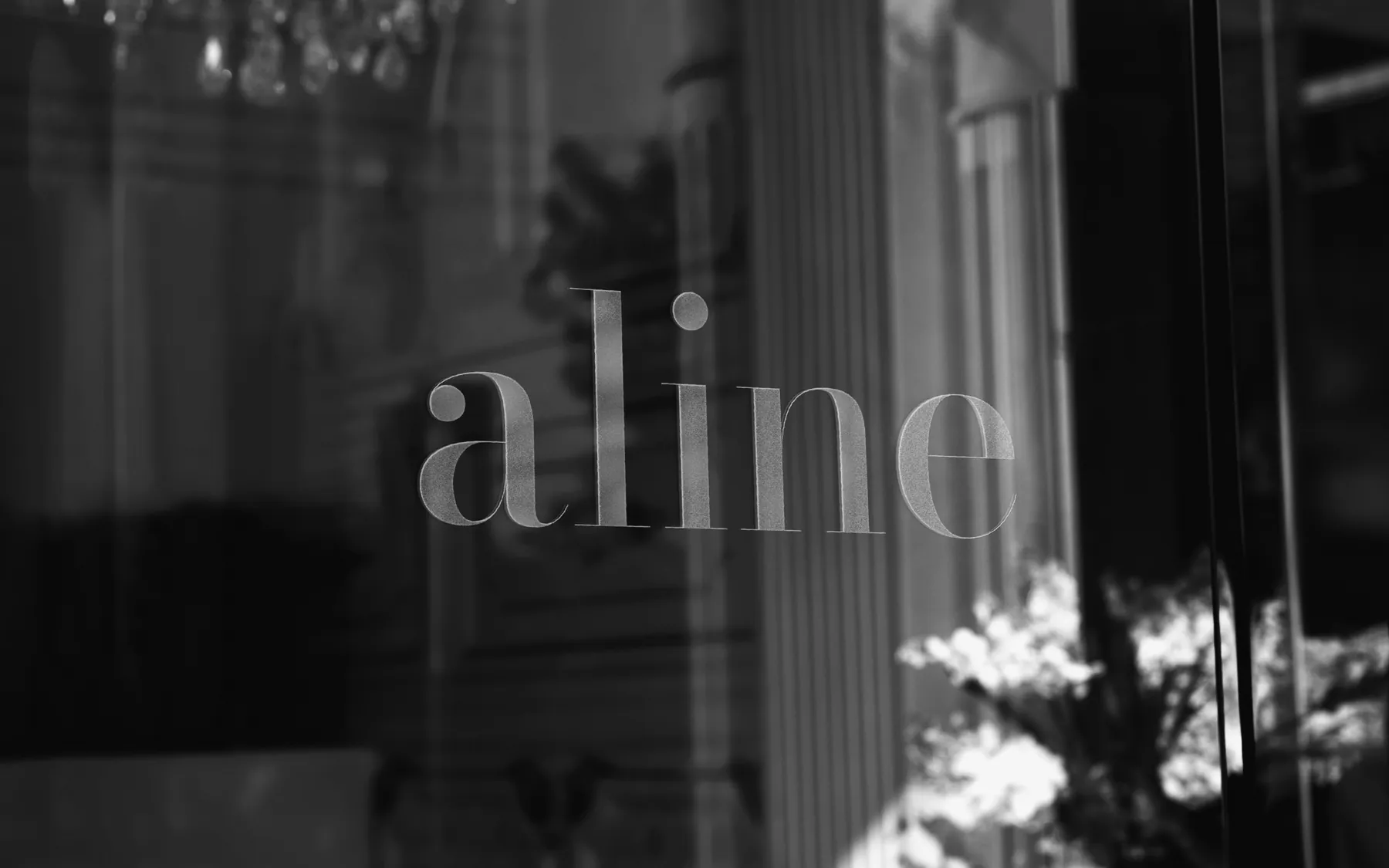 Aline Clinic kimlik sunumu, sayfa 14