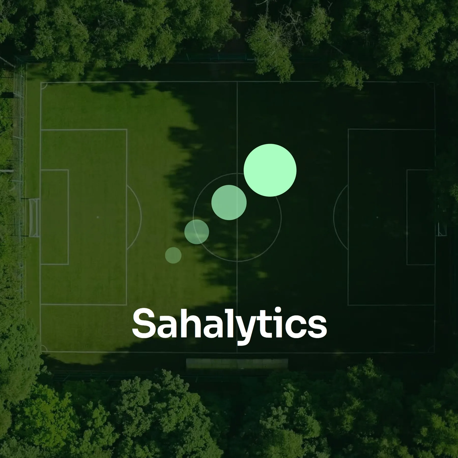 Sahalytics marka kimliği