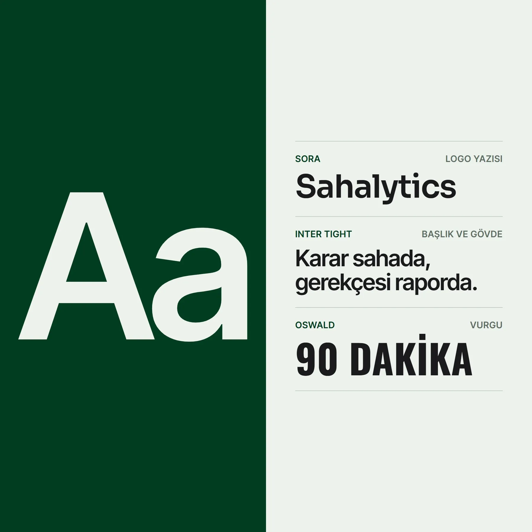 Sahalytics kimlik sunumu, sayfa 6